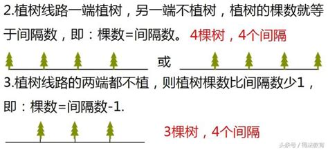 種樹間距|小學數學植樹問題